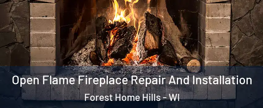 Open Flame Fireplace Repair And Installation Forest Home Hills - WI