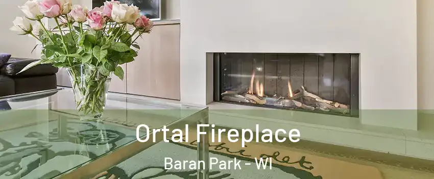 Ortal Fireplace Baran Park - WI