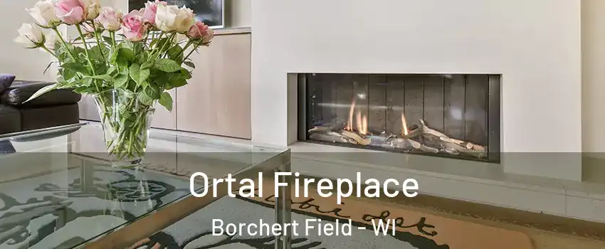 Ortal Fireplace Borchert Field - WI