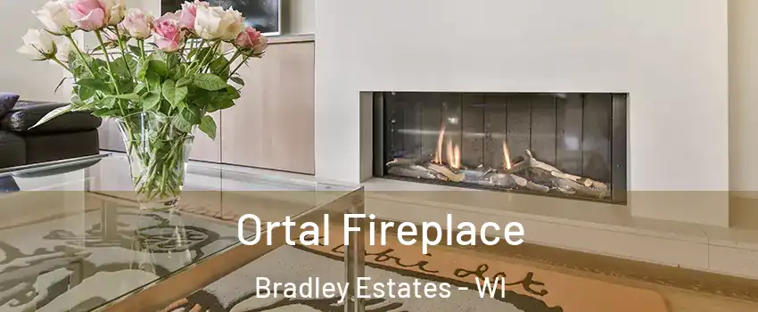 Ortal Fireplace Bradley Estates - WI