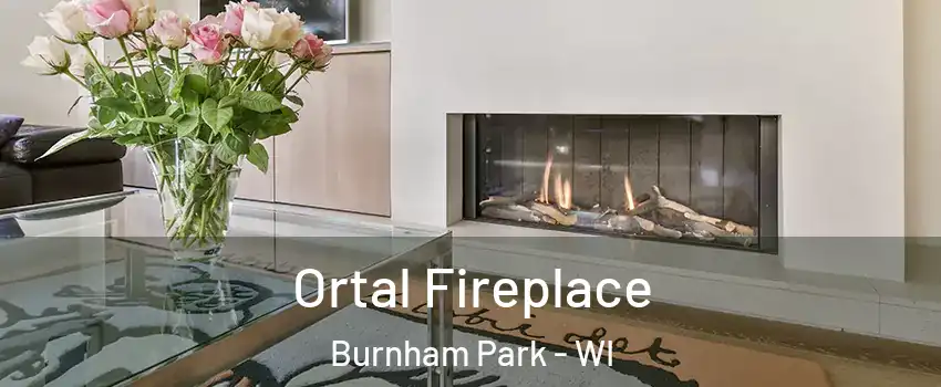 Ortal Fireplace Burnham Park - WI