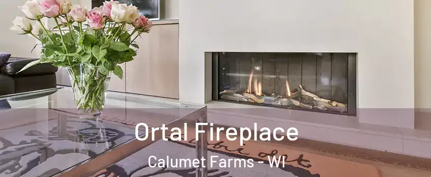 Ortal Fireplace Calumet Farms - WI