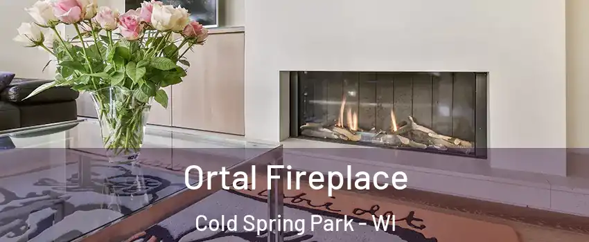 Ortal Fireplace Cold Spring Park - WI