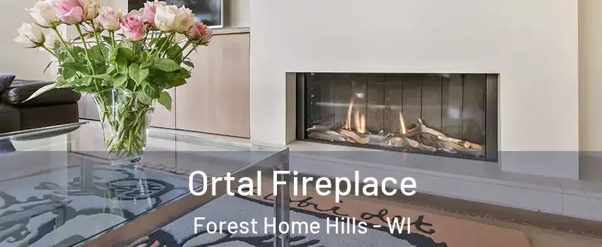 Ortal Fireplace Forest Home Hills - WI