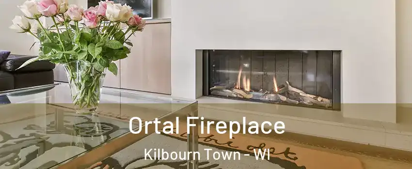 Ortal Fireplace Kilbourn Town - WI