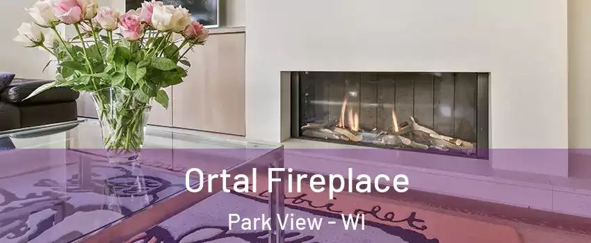 Ortal Fireplace Park View - WI