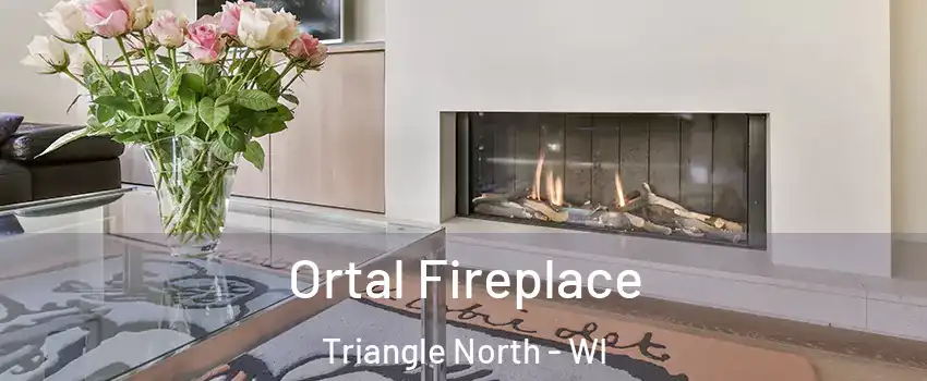 Ortal Fireplace Triangle North - WI