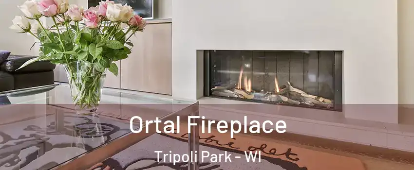 Ortal Fireplace Tripoli Park - WI