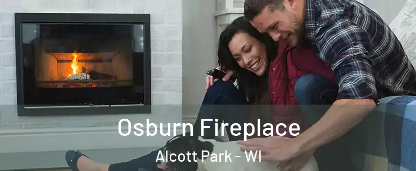 Osburn Fireplace Alcott Park - WI