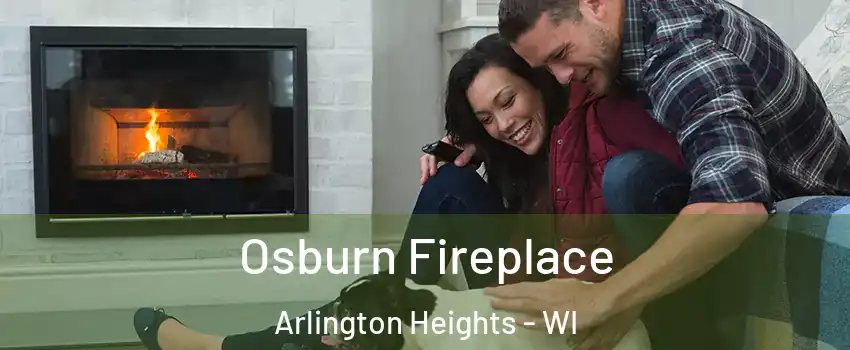 Osburn Fireplace Arlington Heights - WI