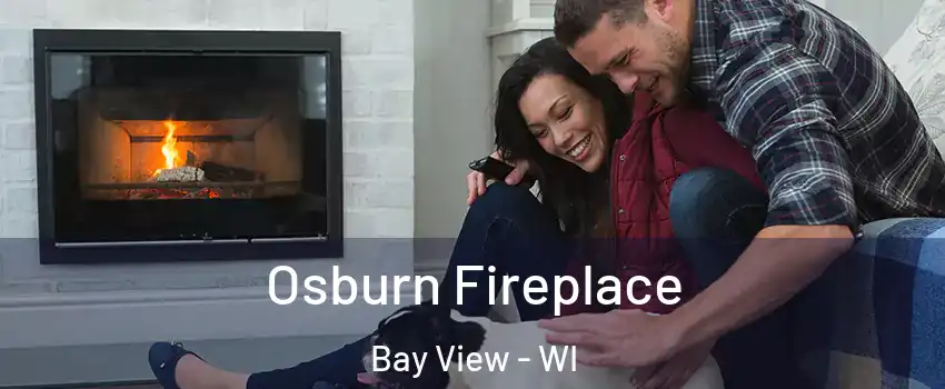 Osburn Fireplace Bay View - WI