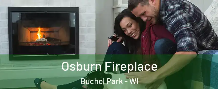 Osburn Fireplace Buchel Park - WI