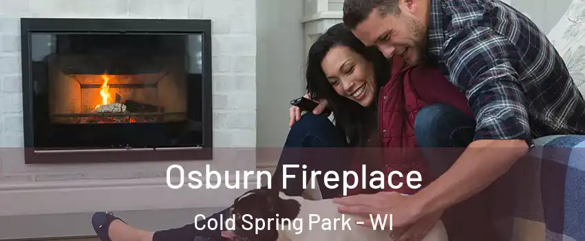 Osburn Fireplace Cold Spring Park - WI