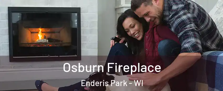 Osburn Fireplace Enderis Park - WI