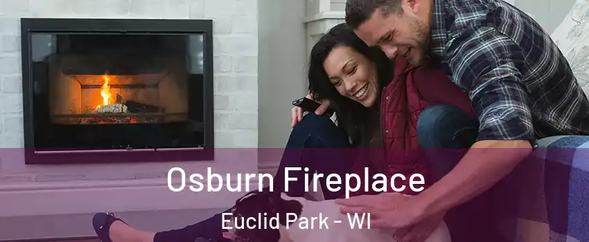 Osburn Fireplace Euclid Park - WI