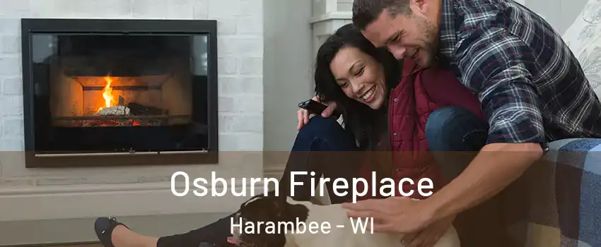 Osburn Fireplace Harambee - WI