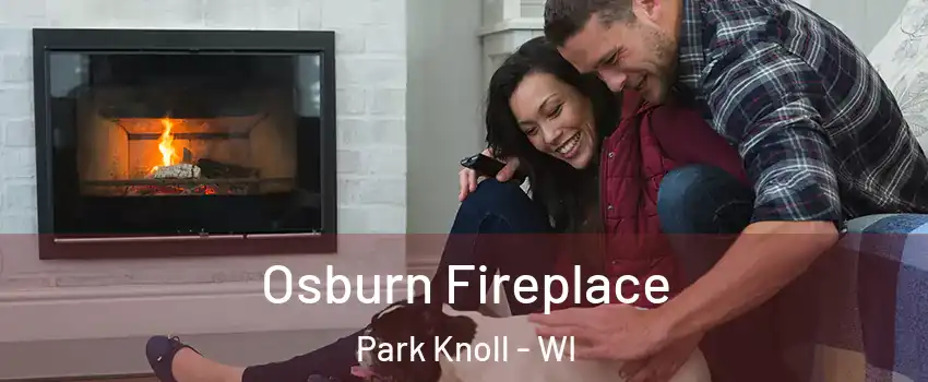 Osburn Fireplace Park Knoll - WI