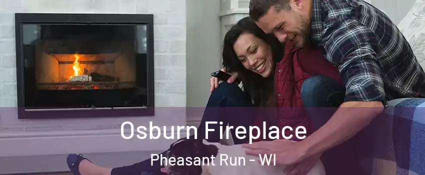 Osburn Fireplace Pheasant Run - WI