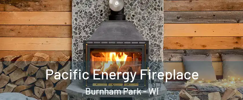 Pacific Energy Fireplace Burnham Park - WI