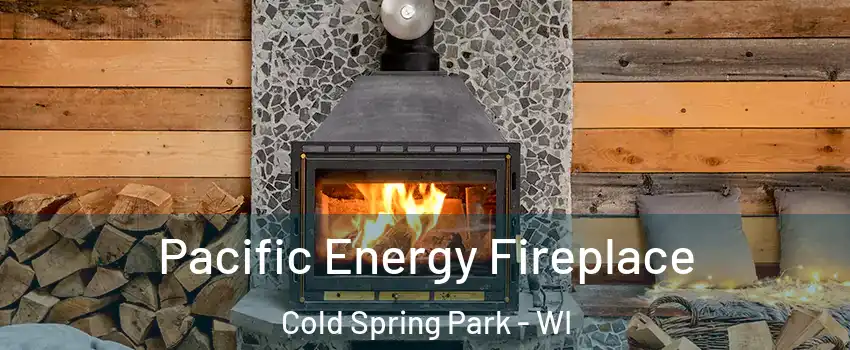 Pacific Energy Fireplace Cold Spring Park - WI