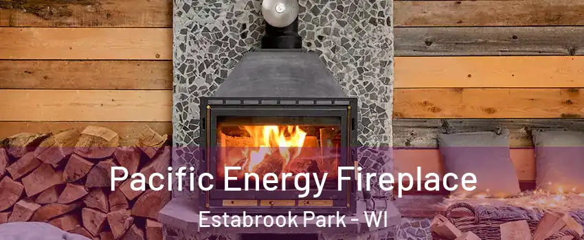 Pacific Energy Fireplace Estabrook Park - WI