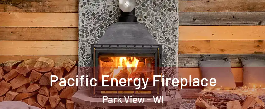 Pacific Energy Fireplace Park View - WI