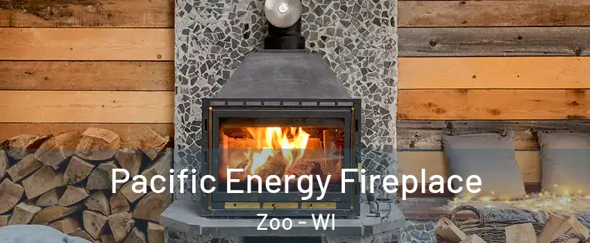 Pacific Energy Fireplace Zoo - WI