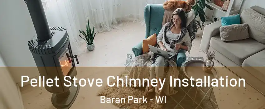 Pellet Stove Chimney Installation Baran Park - WI