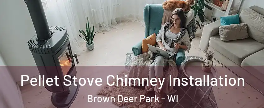 Pellet Stove Chimney Installation Brown Deer Park - WI