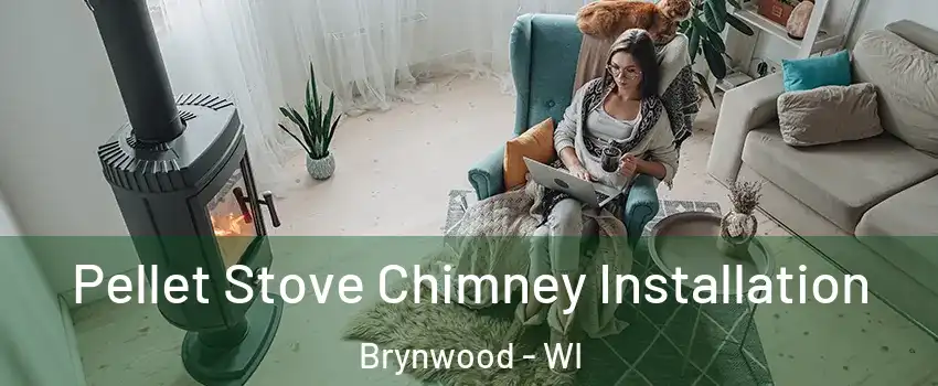 Pellet Stove Chimney Installation Brynwood - WI