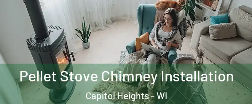 Pellet Stove Chimney Installation Capitol Heights - WI