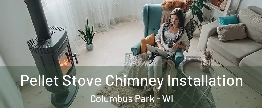 Pellet Stove Chimney Installation Columbus Park - WI