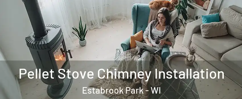 Pellet Stove Chimney Installation Estabrook Park - WI