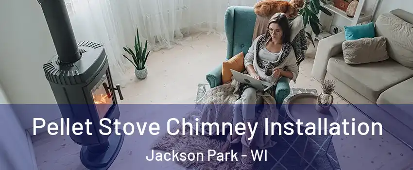 Pellet Stove Chimney Installation Jackson Park - WI