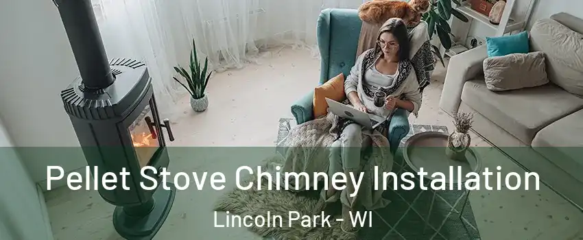 Pellet Stove Chimney Installation Lincoln Park - WI