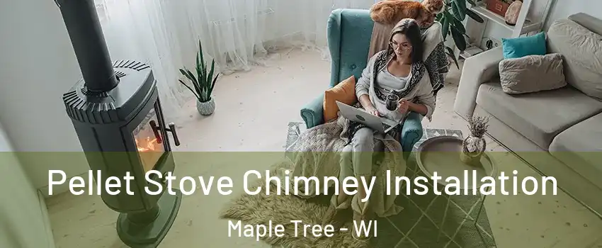 Pellet Stove Chimney Installation Maple Tree - WI