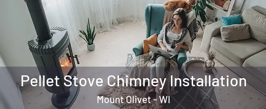 Pellet Stove Chimney Installation Mount Olivet - WI