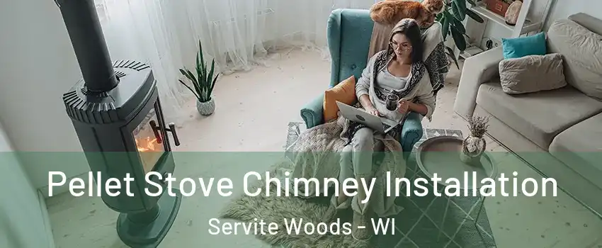 Pellet Stove Chimney Installation Servite Woods - WI