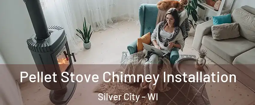 Pellet Stove Chimney Installation Silver City - WI