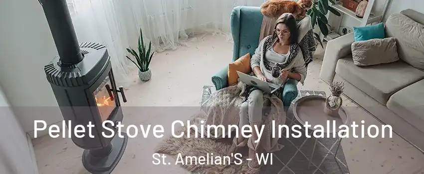 Pellet Stove Chimney Installation St. Amelian'S - WI