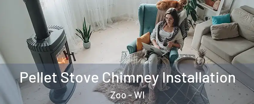 Pellet Stove Chimney Installation Zoo - WI