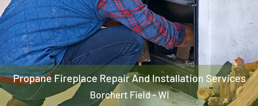 Propane Fireplace Repair And Installation Services Borchert Field - WI