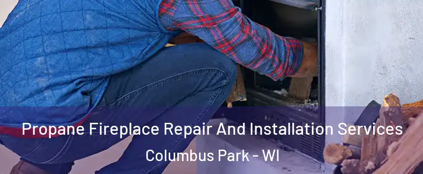 Propane Fireplace Repair And Installation Services Columbus Park - WI