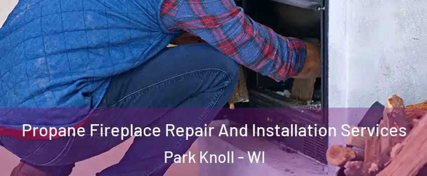 Propane Fireplace Repair And Installation Services Park Knoll - WI