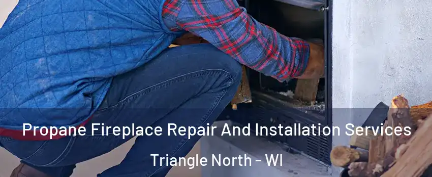 Propane Fireplace Repair And Installation Services Triangle North - WI