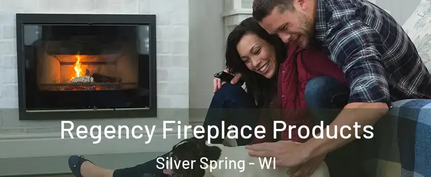 Regency Fireplace Products Silver Spring - WI