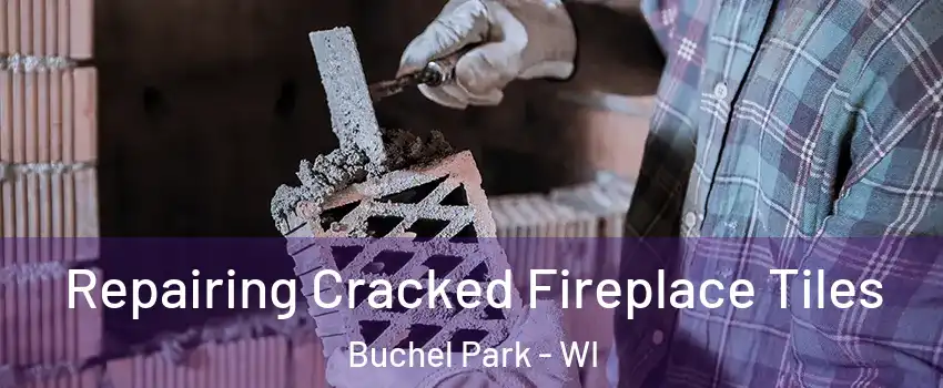 Repairing Cracked Fireplace Tiles Buchel Park - WI