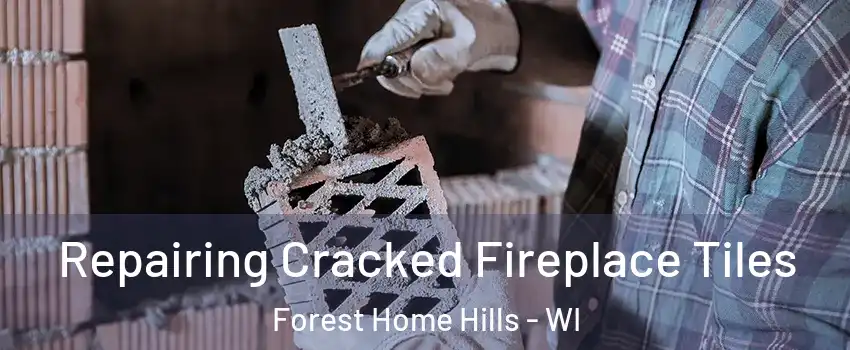 Repairing Cracked Fireplace Tiles Forest Home Hills - WI