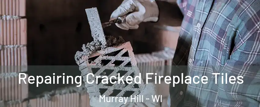 Repairing Cracked Fireplace Tiles Murray Hill - WI