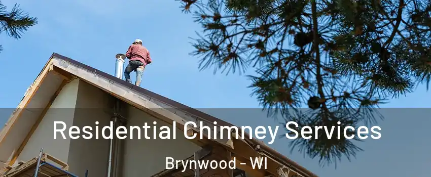 Residential Chimney Services Brynwood - WI